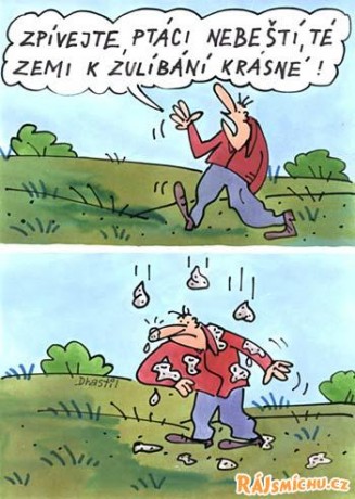zpev_ptaku